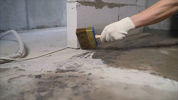 24/7 Emergency Basement Waterproofing experts in Saint Johns, MI